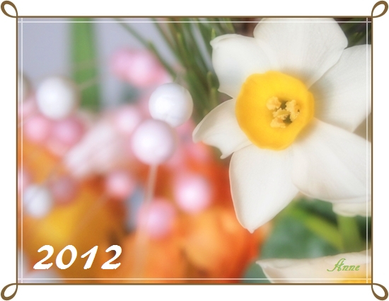 20120102flower.JPG